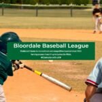 bloordalebaseball 01